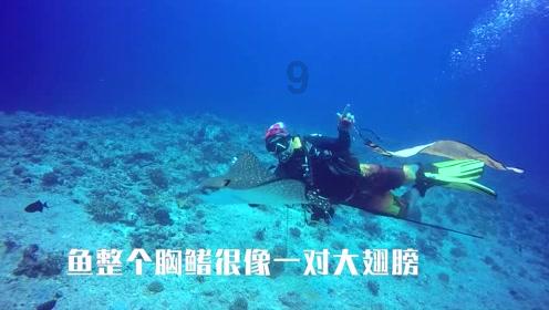 全民剧本大师内置菜单